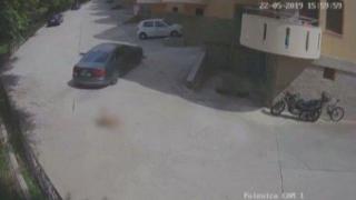 Мъж прегази бездомно куче в Сандански (видео 18+)