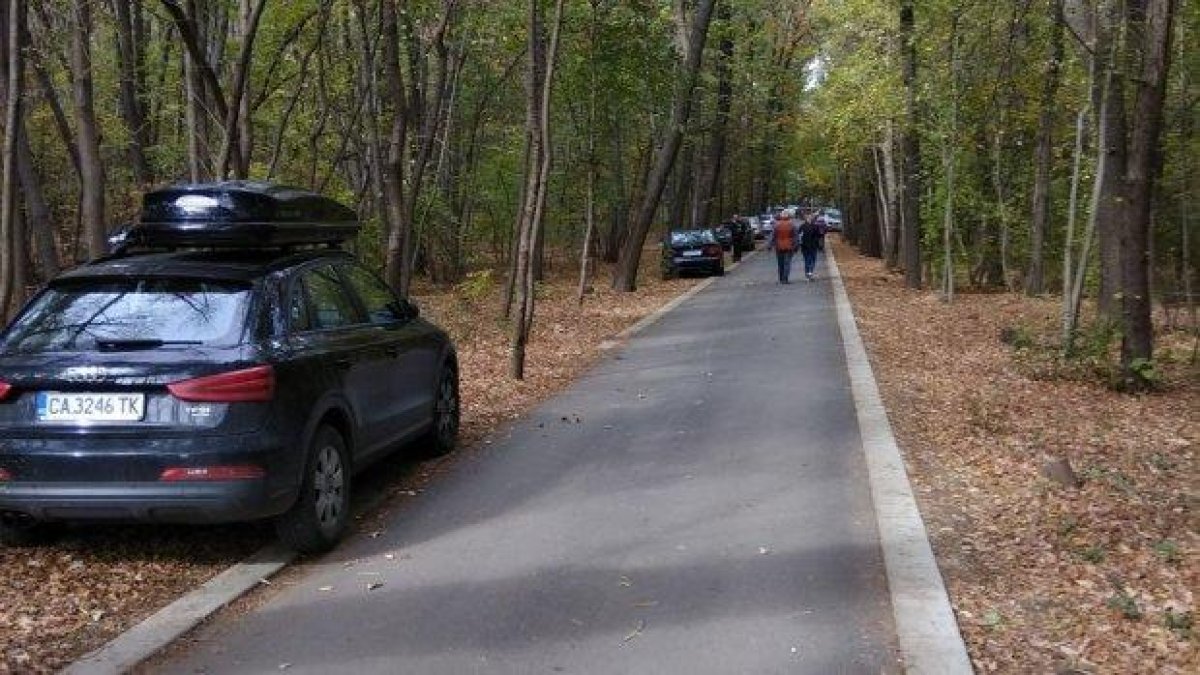 Ето къде ще има нови паркинги в Борисовата градина (снимки)