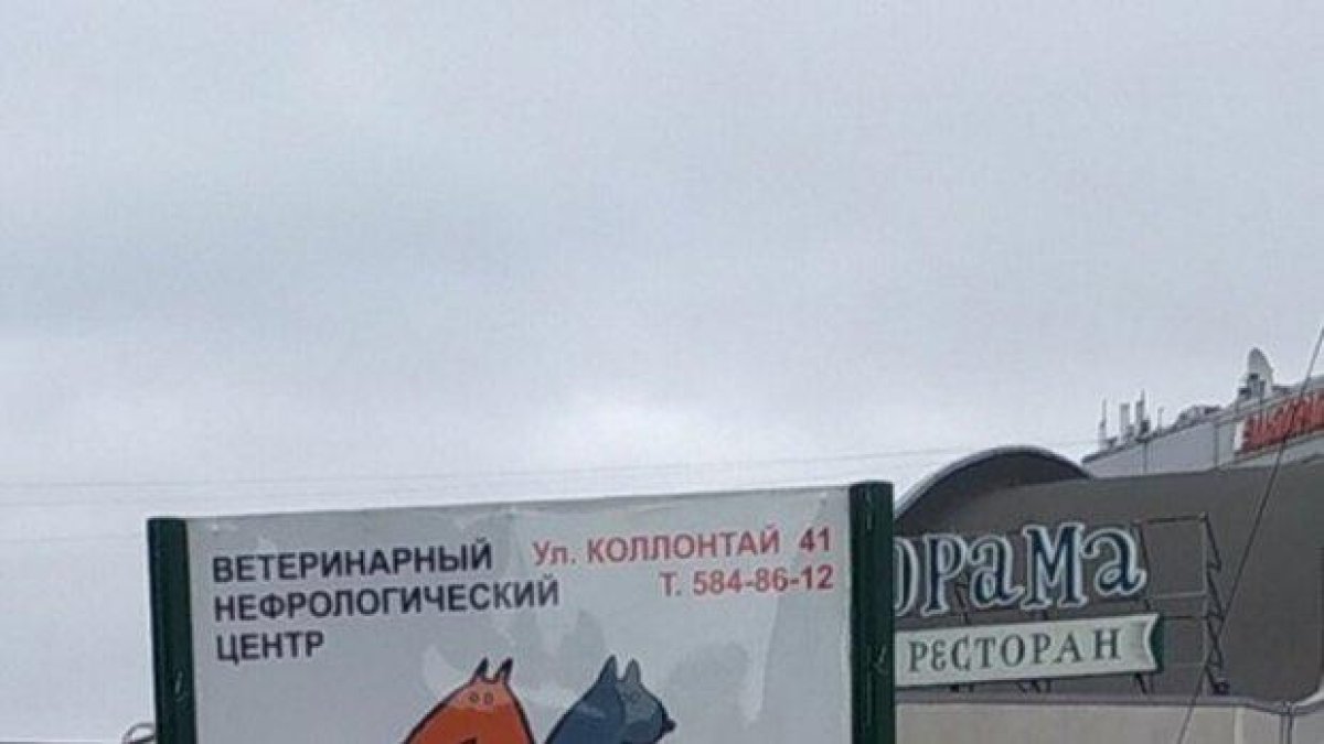 Промоция в Русия - предлагат безплатна кастрация на неверни мъже