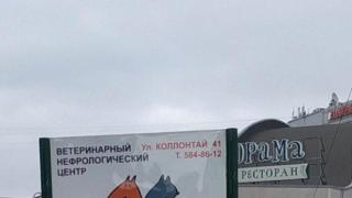 Промоция в Русия - предлагат безплатна кастрация на неверни мъже