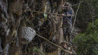 Вижте невероятния начин, по който се събира "скалния мед" в китайската провинция Юнан (снимки и видео)