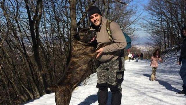 Собственикът на петте кучета, убили човек, остава в ареста