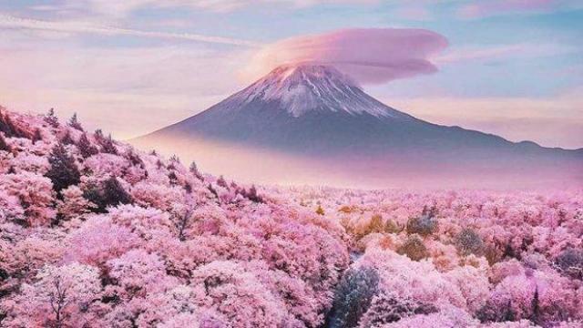Вижте едни от най-добрите Photoshop произведения (видео и снимки)