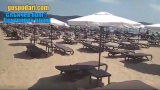 Плажът на Слънчака е празен, защото всички са в Уеба (Господари на Уеба)