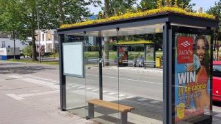 В Холандия превърнаха 316 автобусни спирки в убежища за пчели (снимки)