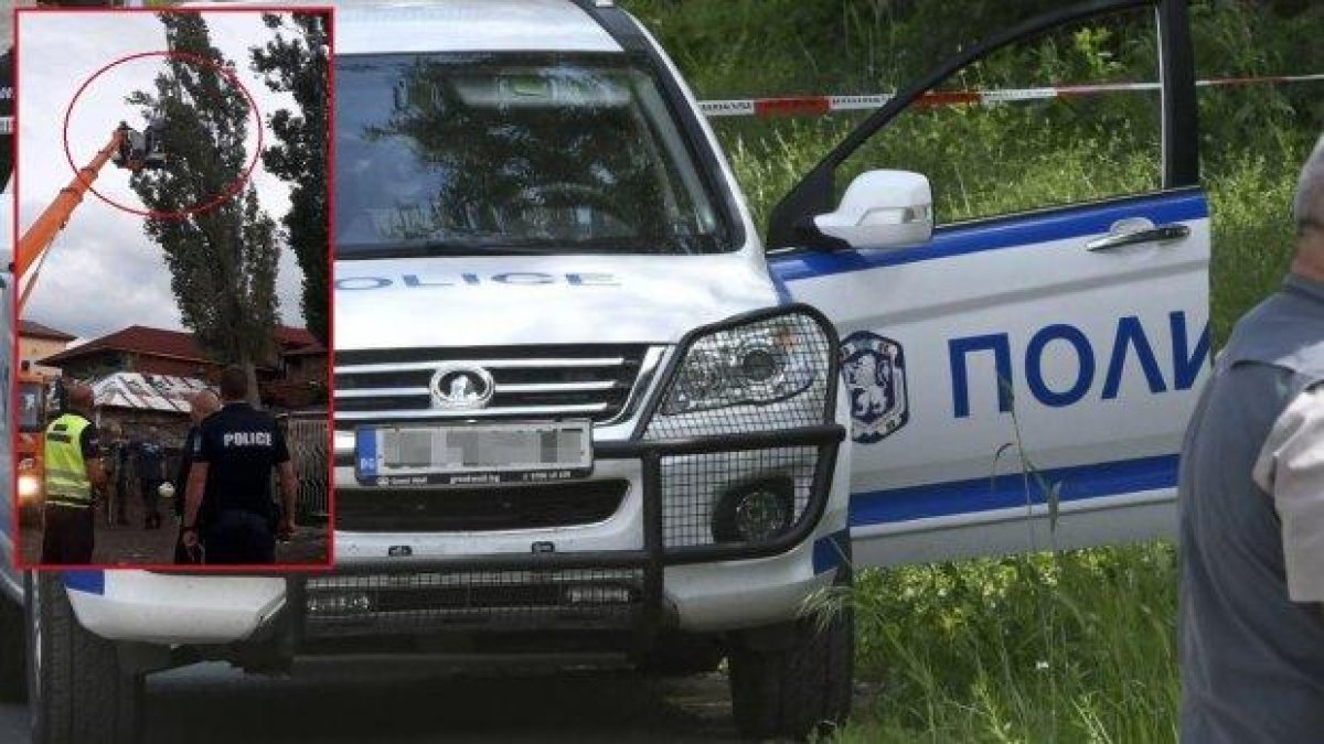 Зрелищна акция за спасяване на коте проведоха полицаи и пожарникари в София (снимка)