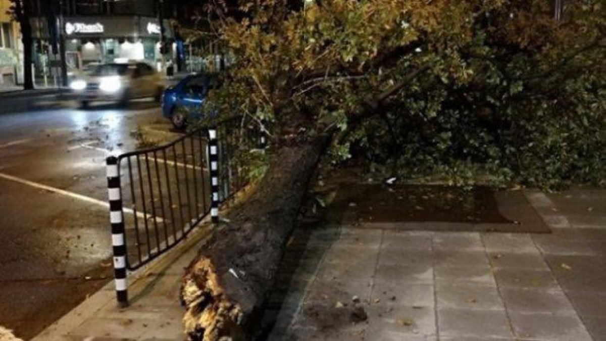 Снощната буря в софийско взе жертва, една жена е в тежко състояние