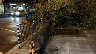Снощната буря в софийско взе жертва, една жена е в тежко състояние