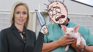 Репортерка на Нова погна с касапския нож собствениците на прасета (видео)