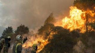 Голям пожар бушува в Южна Гърция, евакуират хора от къмпинги и хотели (видео)
