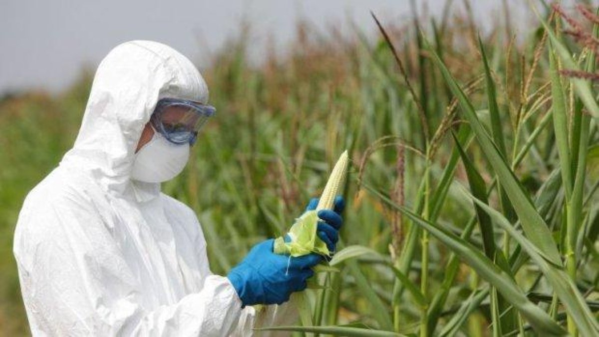 "Монсанто" плащали на Google, за да потули разследване за вредата от техен продукт
