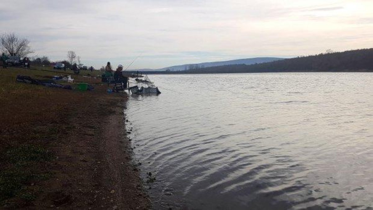 Поредна "екобомба" : Намериха изхвърлени трупове на прасета във водите на язовир "Жребчево"