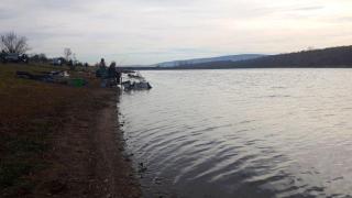 Поредна "екобомба" : Намериха изхвърлени трупове на прасета във водите на язовир "Жребчево"