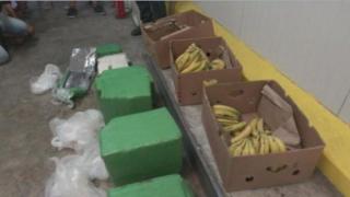 Обискират складовете на вносителя на бананите с кокаин в цялата страна