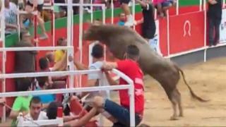 Бик скочи на трибуните и рани 19 души в Испания (видео и снимки)