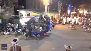 Подплашени слонове смачкаха 17 души по време на фестивал в Шри Ланка (видео)