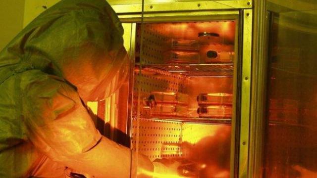Взрив избухна в руска лаборатория, съхраняваща опасни вируси на ебола и едра шарка