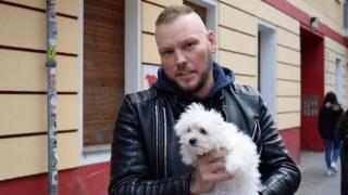 Бизнес за милиарди: нелегалната търговия с кучета от Източна Европа (видео)