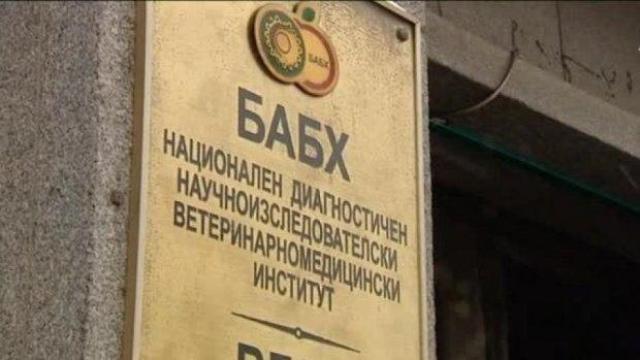 БАБХ с нов шеф: Дамян Илиев бе тихо сменен от проф. Паскал Желязков
