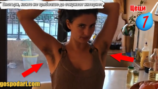 Влогъри, които не трябваше да откриват Уеба - част 2 (Господари на Уеба)