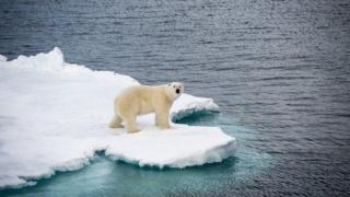 До края на 21 век морското равнище рязко ще се покачи, предупредиха от ООН