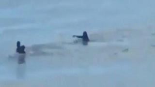 Заснеха огромна акула да плува на метри от двойка в морето (видео и снимки)