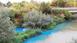 Водите на река Русенски Лом се оцветиха в електриково синьо (видео)