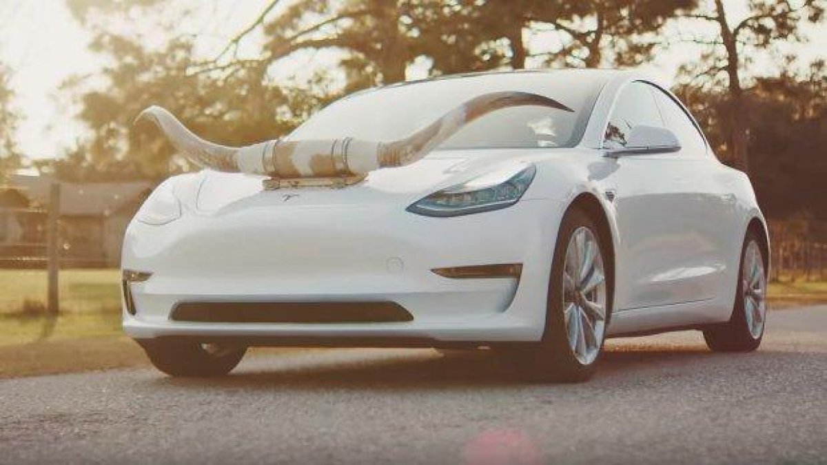 Илон Мъск предложи звуци за автомобилите "Tesla": от блеене на коза до удар на кокосови орехи