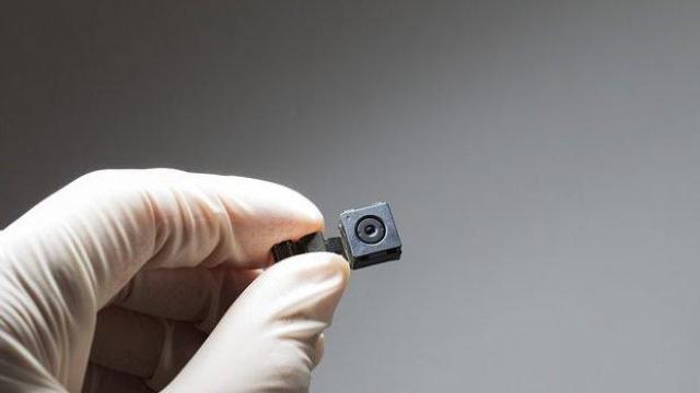 Жабайы лесбиянкалардың порно видеосы Росарио Доусонның порносы