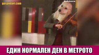 Създания от метрото. Следваща станция: "Психиатрия" (видео)