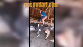 Вижте как садистът от Мъглиж се е гаврил и с други животни (видео)
