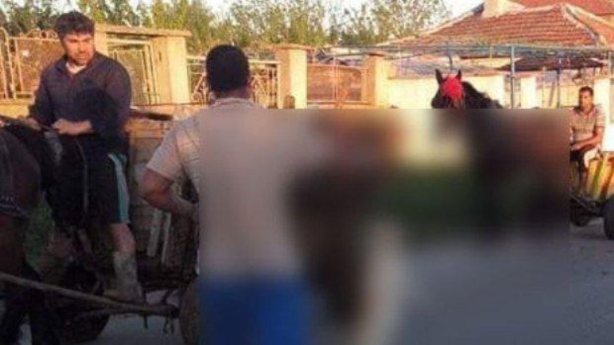 Поредно зверство към животно: Мъж от Елхово беси котка (снимка 18+)
