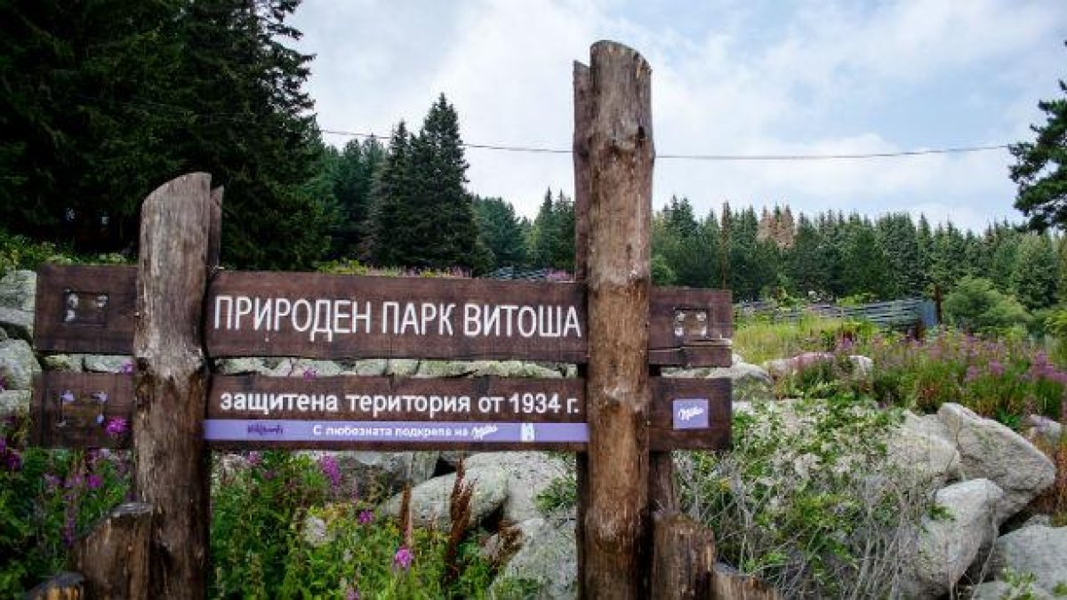 Намаляват територията на парк "Витоша" за първи път в 85-годишната му история