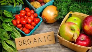 Десетки фалшиви био продукти са открити на пазара