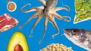 Да ядем или да не ядем: Някои от най-спорните храни в света