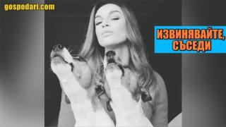 Когато всички вкъщи обичат да пеят, барабар с кучетата (видео)