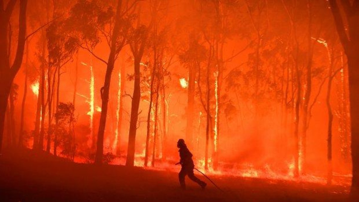 Има ли достатъчно самолети, за да се справим с пожарите, бушуващи по целия свят?