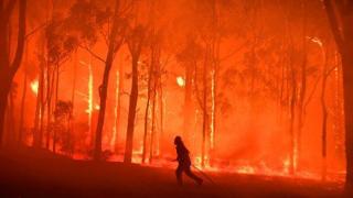Има ли достатъчно самолети, за да се справим с пожарите, бушуващи по целия свят?