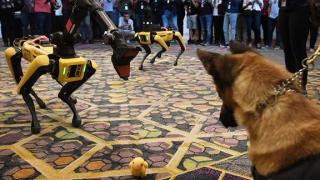 Кучета роботи помагат на полицията в САЩ (видео и снимки)