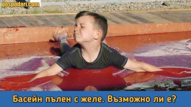 Възможно ли е цял басейн да бъде напълнен с желе? (видео)