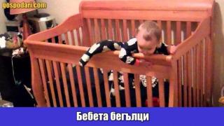Бебета, които не могат да бъдат спряни от никакви препятствия (видео)