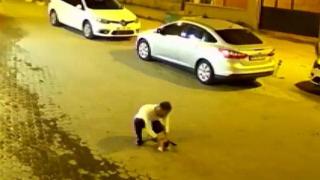 Случаен минувач спаси живота на задушаваща се котка (видео)