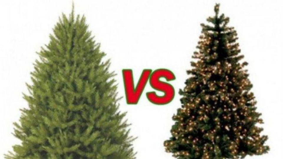 Изкуствена елха или истинско дръвче за Коледа е по-доброто решение за околната среда?
