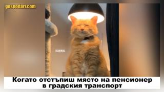 Когато цял ден си бил непоносим, но направиш едно добро дело (видео)