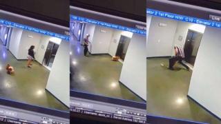 Бързата реакция на мъж спаси куче, заклещено от вратата на движещ се асаньор (видео)