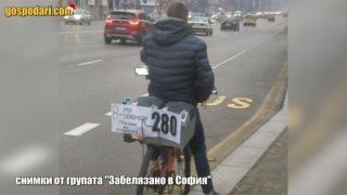 Софийски безумия от "Забелязано в София" (видео)