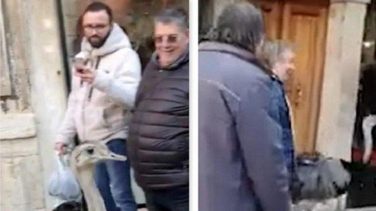 Словенци са глобени, защото пуснали огромните си птици по улиците на Венеция
