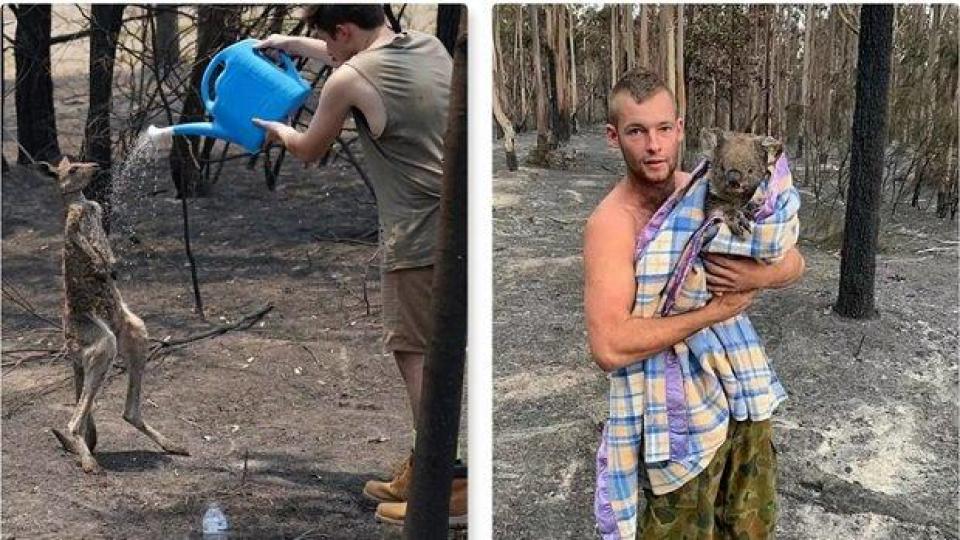 Подгонени от огромни пожари, животните в Австралия търсят спасение при хората