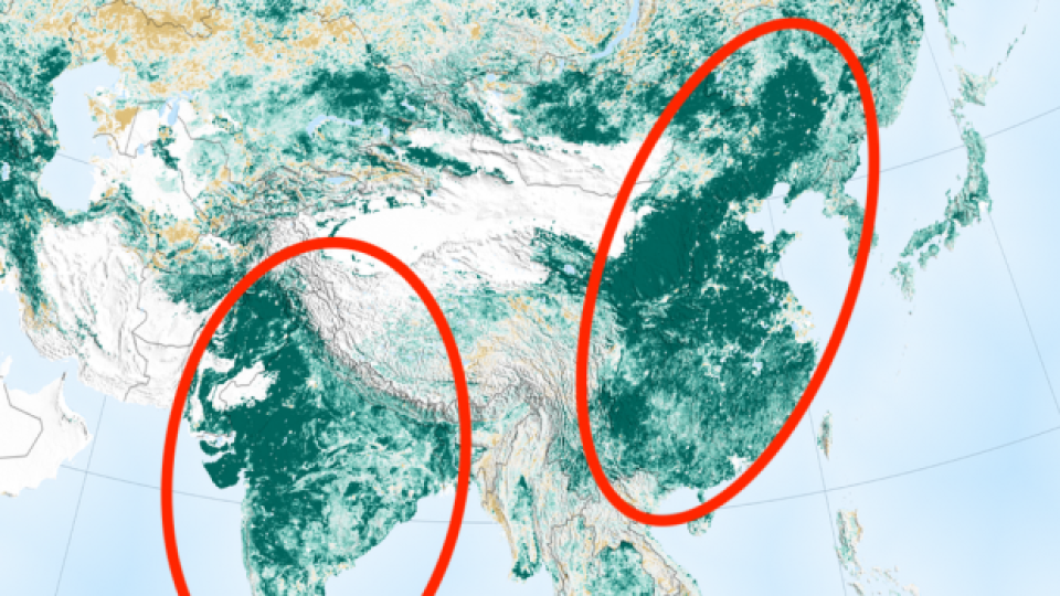 Земята е по-зелена в сравнение с преди 20 години, благодарение на Китай и Индия