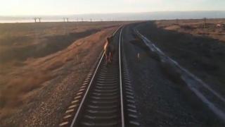 Камила реши да се разходи по релсите и забави влак с повече от 2 часа (видео)